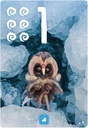 Pixies