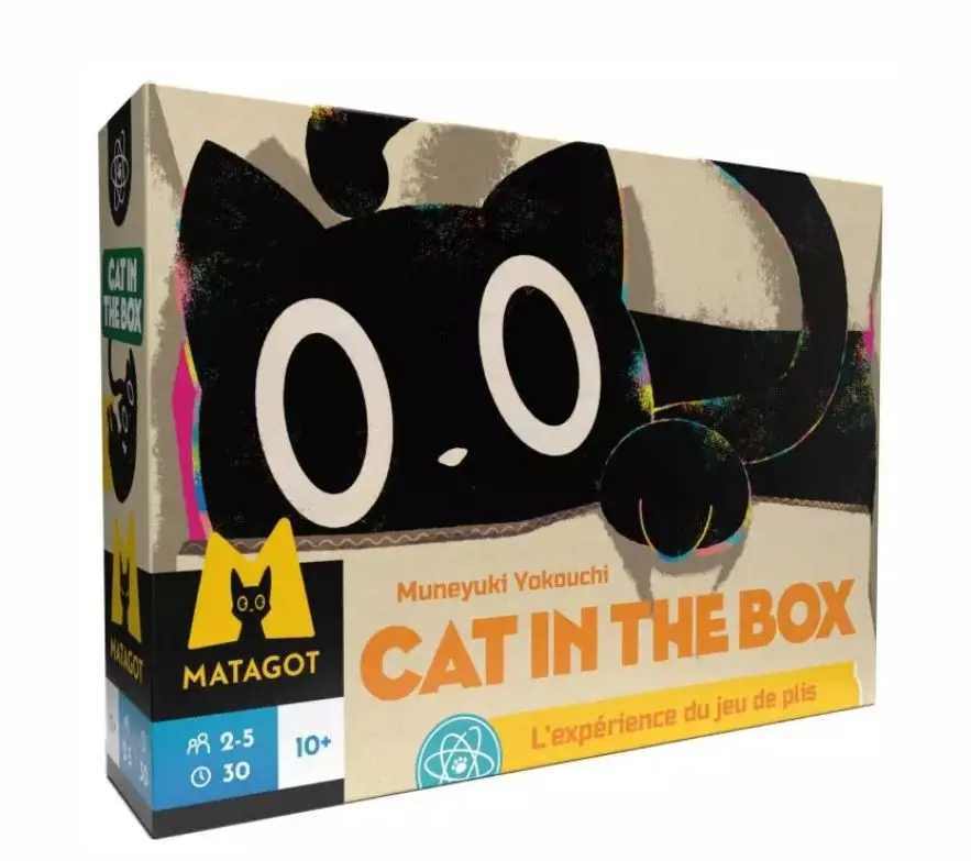 Cat in the box