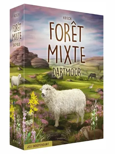 Forêt mixte : Dartmoor